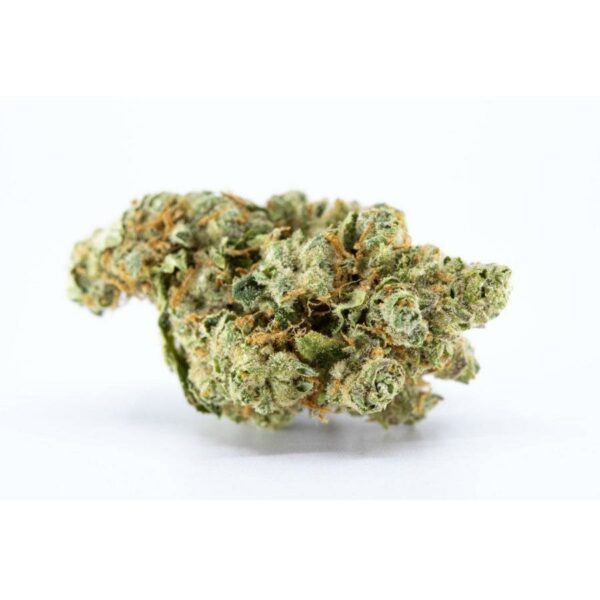Great White Shark CBD hemp flower: Discover the potential for relaxation with this unique CBD strain.
