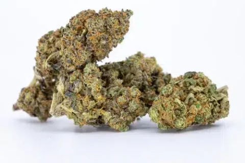 Pistachio CBD flower: Unique CBD strain with a nutty aroma and potential relaxation benefits.