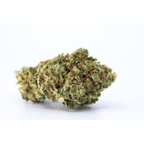 Critical Kush CBD strain: Experience the potential relaxation benefits and unique flavor of this CBD hemp flower.