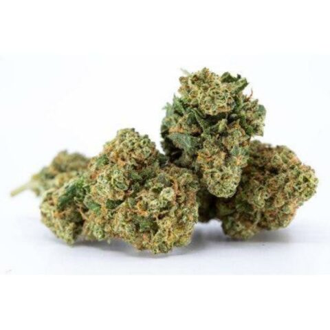 Blackberry CBD strain: Experience the sweet scent and calming effects of this high-quality CBD hemp flower.