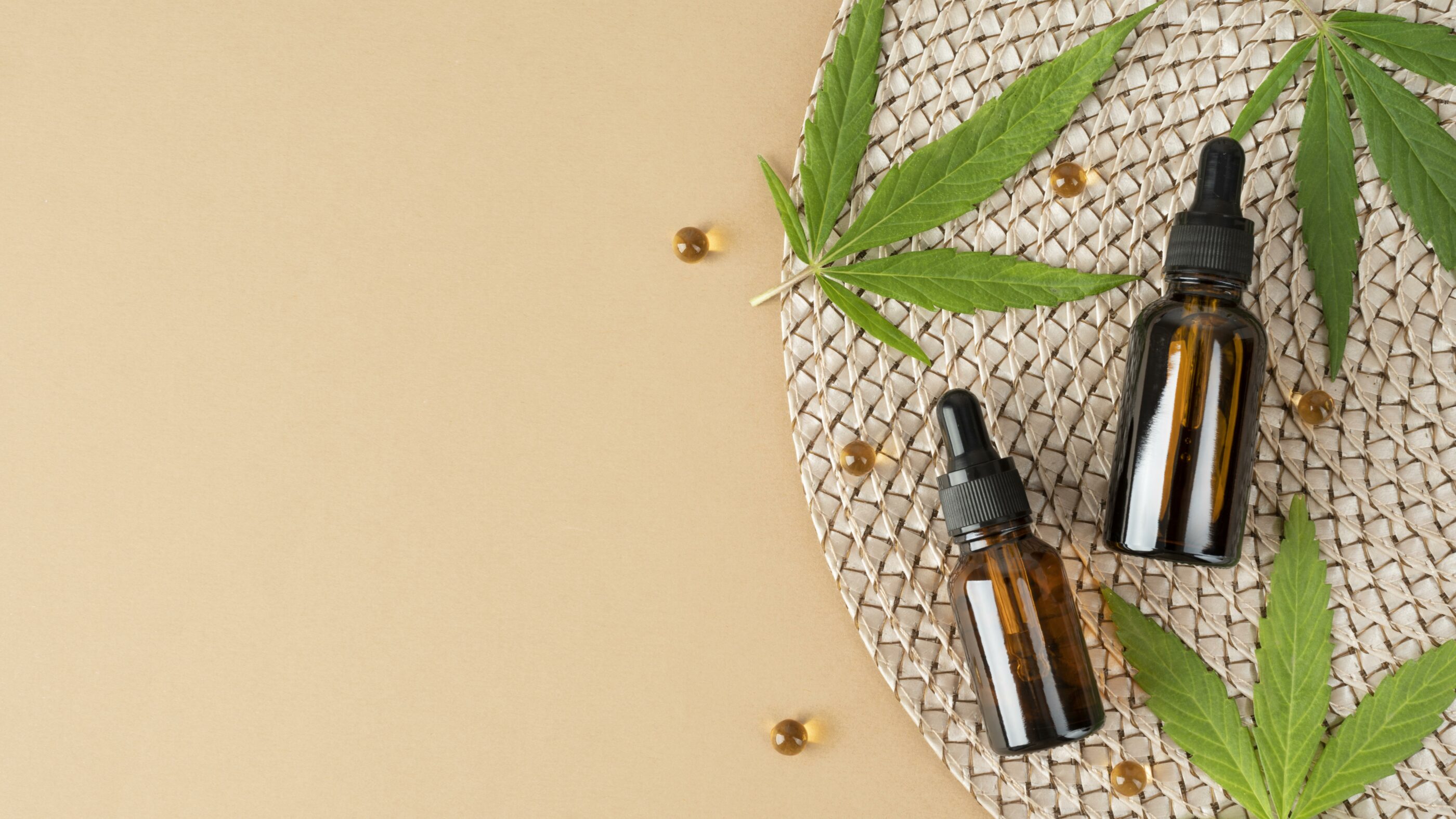 How Much CBD Oil Should I Take?TheCBDWholesaler