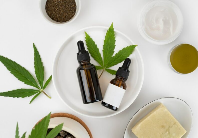 5 Conditions CBD Can Treat: A Dive into Its Therapeutic Benefits: Addressing CBD Health Conditions with TheCBDWholesaler
