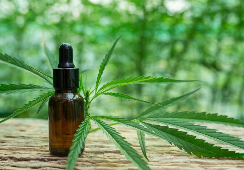 Where Can I Find CBD Oil Nearby in the UK A Comprehensive Guide