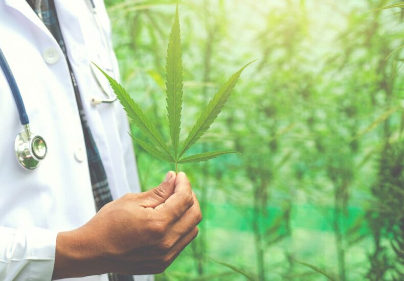 What to Expect When You Start Taking CBD A Comprehensive Guide