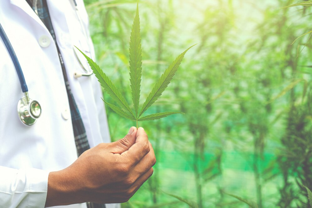 What to Expect When You Start Taking CBD A Comprehensive Guide